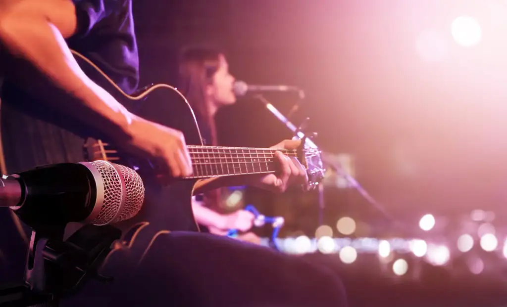 Guitarist and singer on softly lit stage