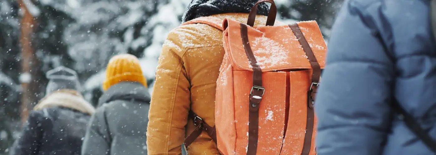 Group of four people hiking in the winter in a light snow