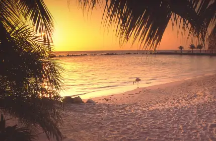 Baby Beach, Aruba