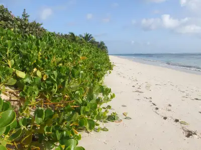 Flamenco Beach, Culebra, Puerto Rico