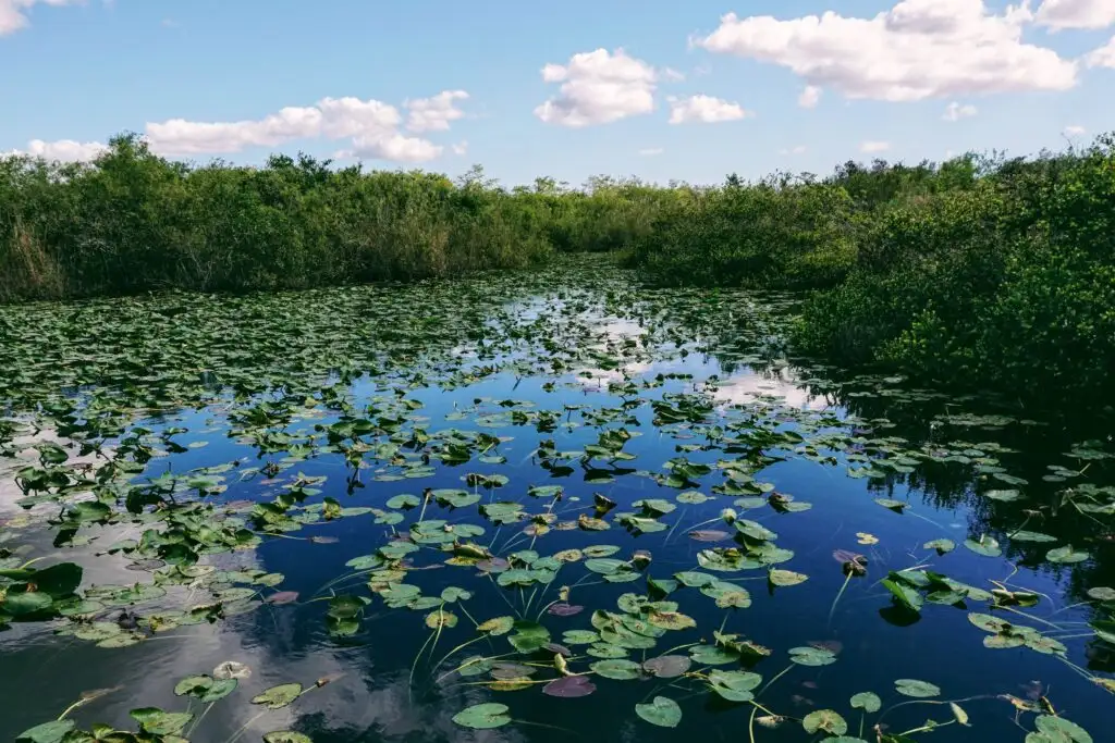 everglades national park