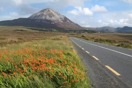 Mount Errigal