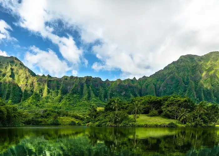 garden and mountains in oahu