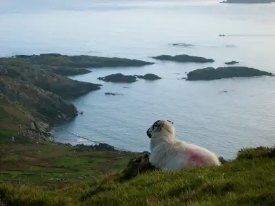 Ring of Kerry